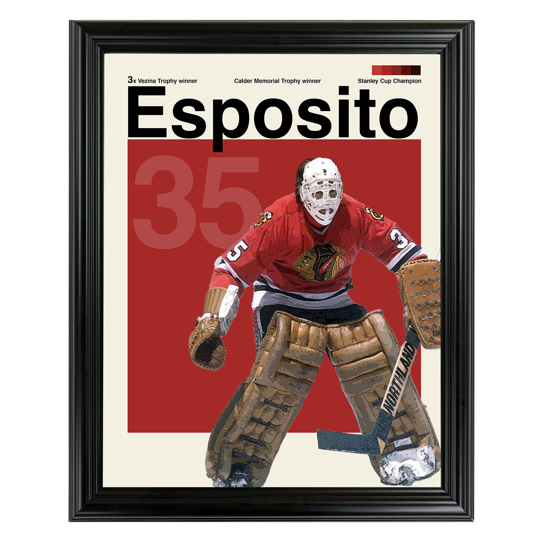 Tony Esposito Framed Sports Art Photo by Thomas Maxwell