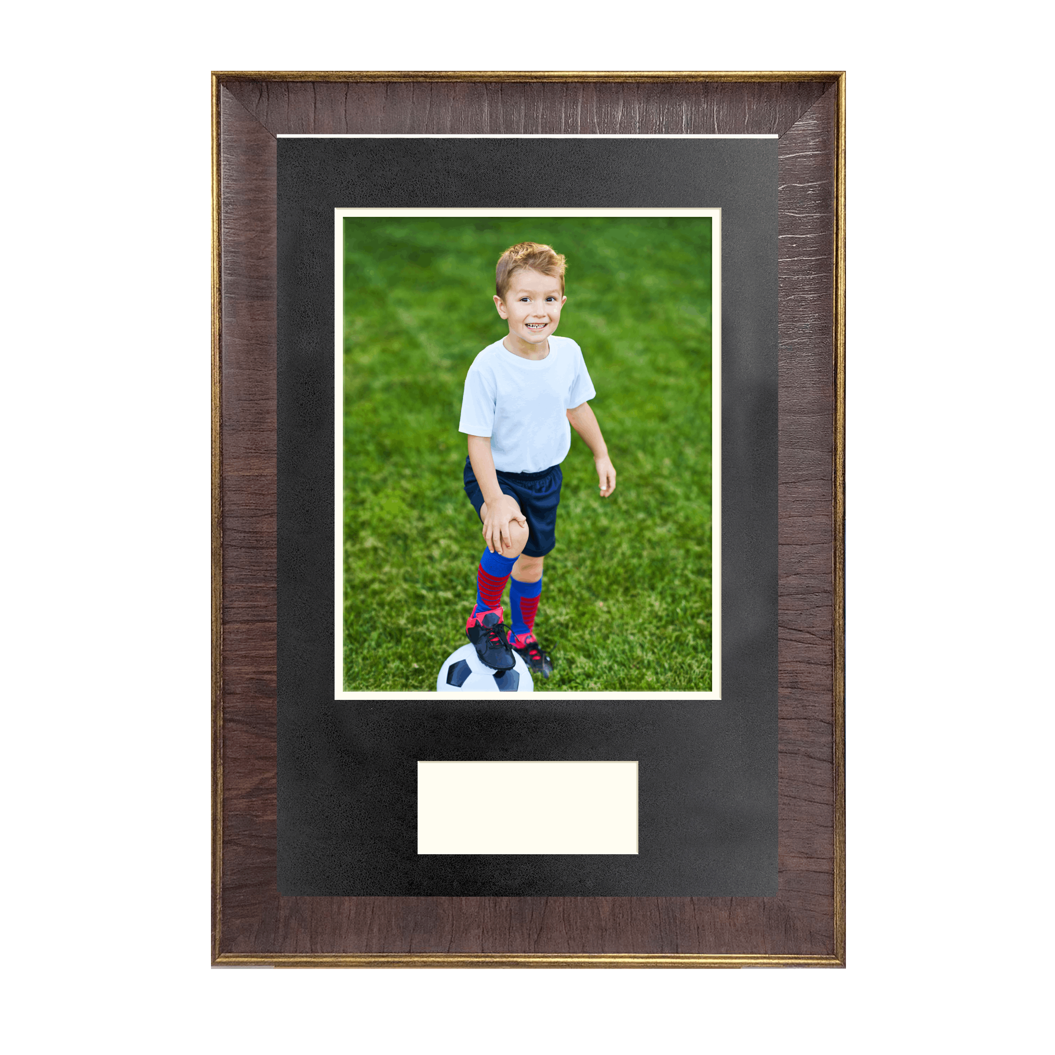 Sport & Awards Custom Framed Photo with Engraved Plate-SB